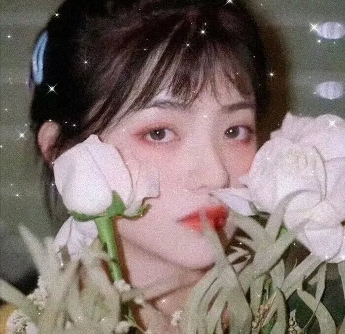 盗墓同盟
